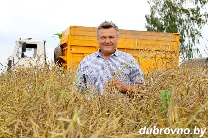 Первая тысяча тонн урожая 2025 года Витебской области перевезена на Дубровенщине