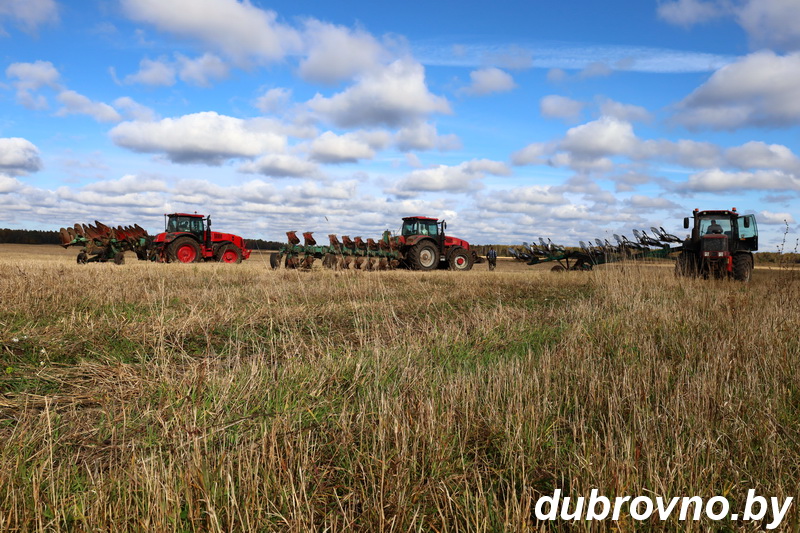 Полевые работы продолжаются на Дубровенщине