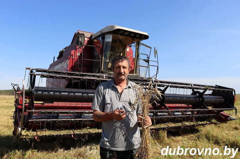 Лидеры жатвы трудятся на полях Дубровенщины