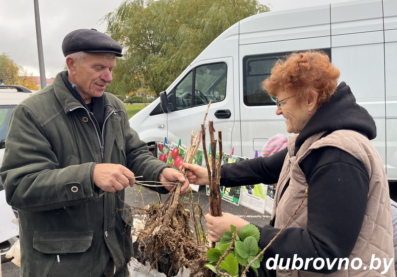 В Дубровенском районе стартовал сезон осенних ярмарок