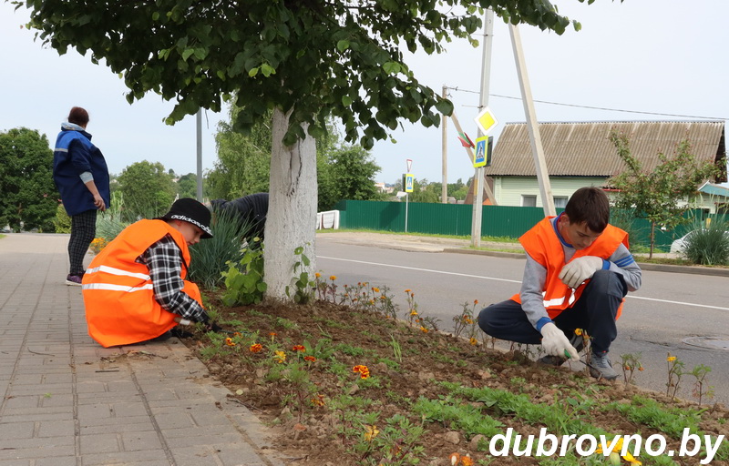 Дубровенские подростки работают в УП ЖКХ «Дубровно-Коммунальник»