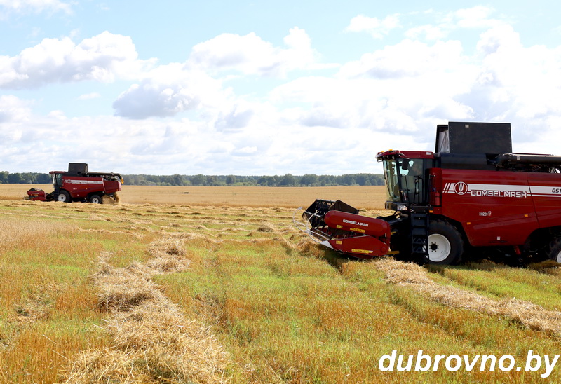 Петр Сыса: «В каждом зернышке — сложный труд каждого работника ОАО «Герой»