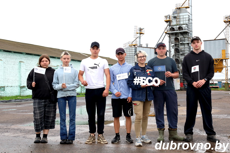 Молодежь помогает сельхозпредприятиям Дубровенщины