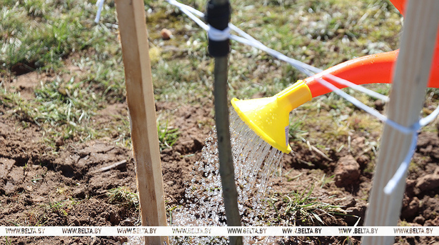 Рэспубліканскі суботнік пройдзе ў Беларусі 18 красавіка 