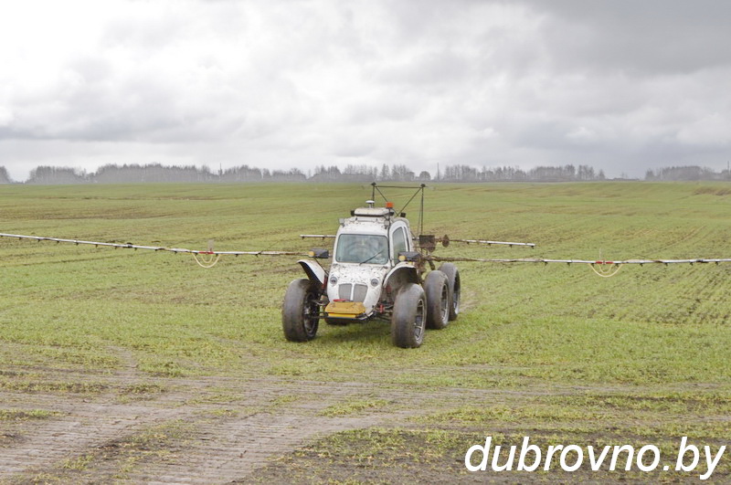 Дубровенский ориентир для аграриев всей области