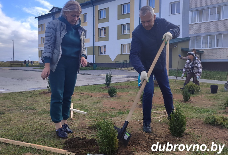 Дубровенцы присоединились к Единому дню озеленения