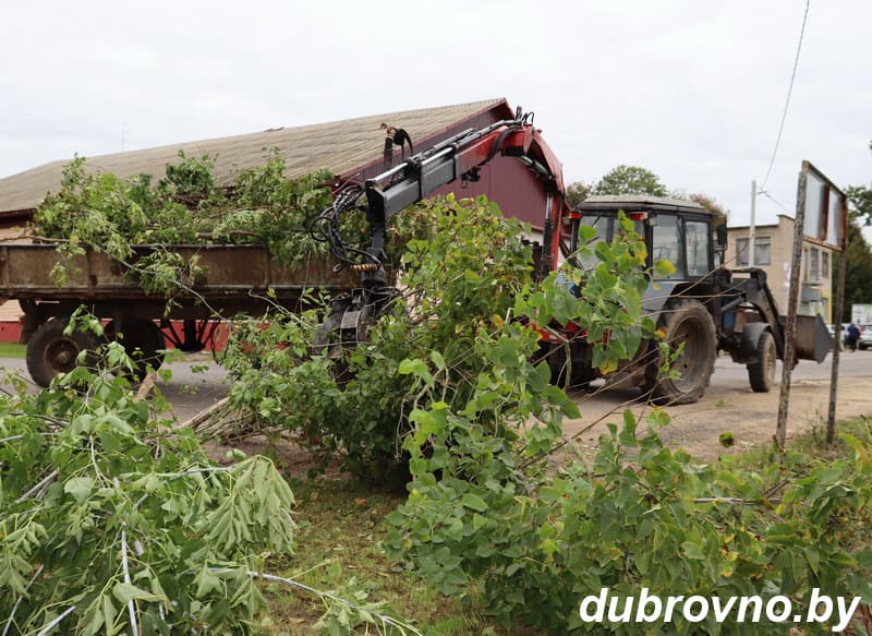 Субботник прошел в Дубровно