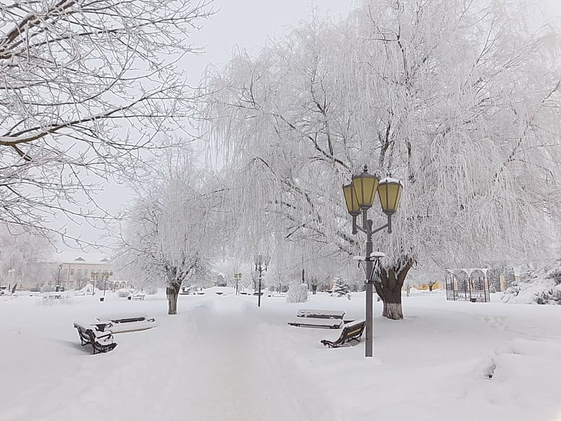 Как службы Дубровенского района справляются с капризами зимней погоды, узнали у руководителей организаций