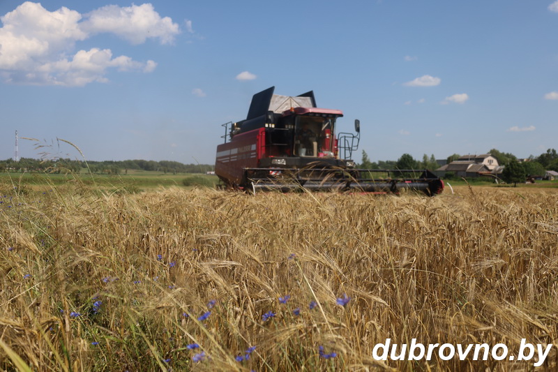 Аграрии Дубровенщины к уборочной готовы
