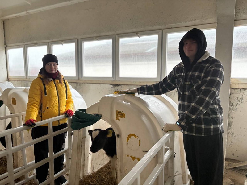 В Дубровенском районе на МТФ продолжается наведение порядка