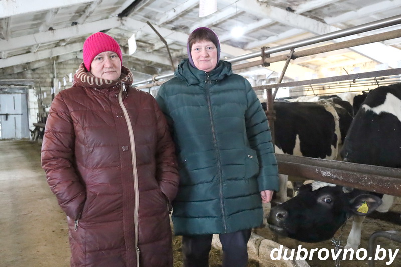 В ОАО «Якубово-Агро» знают, как увеличить надои