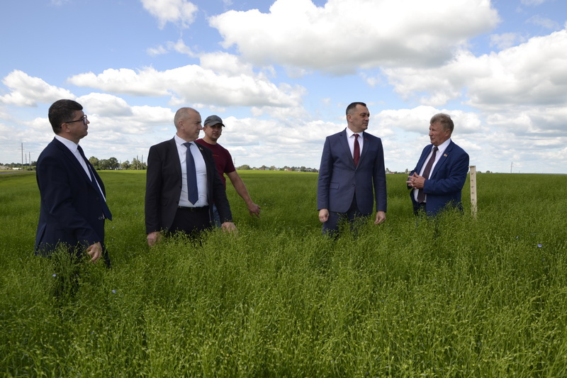 На льняных полях Дубровенщины побывали руководители области