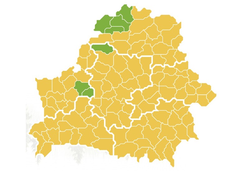 В Беларуси начали вводить ограничения на посещение лесов
