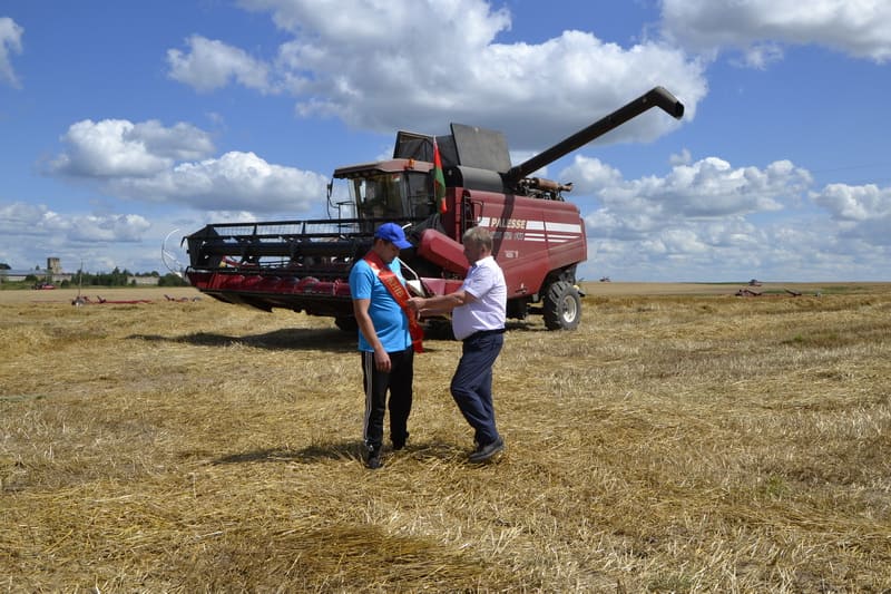 Ритм на жатве Дубровенщины задают молодые