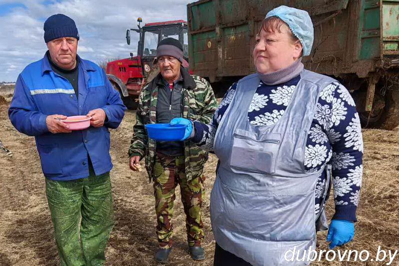 Обед без отрыва от сева на дубровенских полях