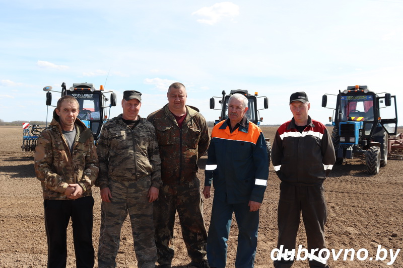 Дубровенские льноводы подходят к финишу посевной