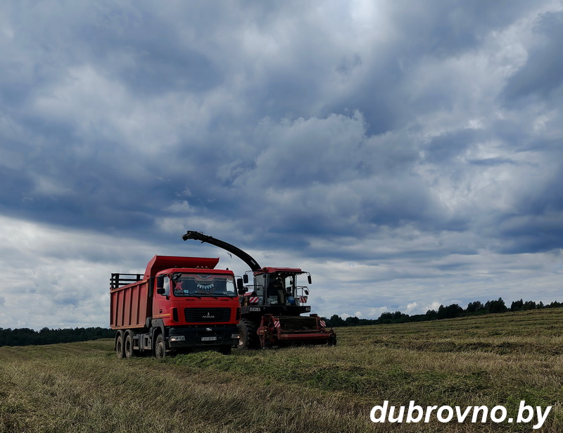 На контроле — кормозаготовка