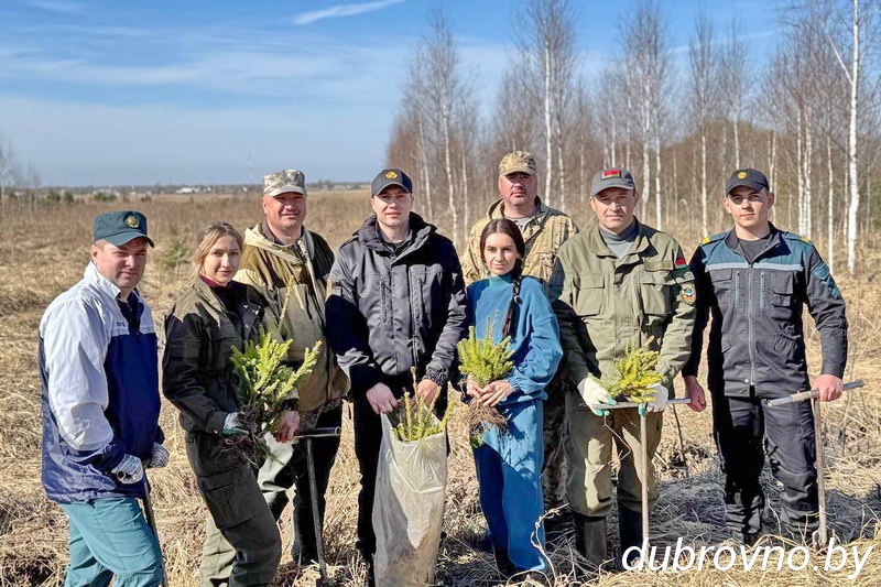 На Дубровенщине поддержали республиканскую акцию «Лес! Дабро! Парадак!»