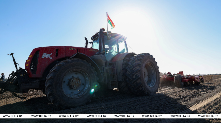 Массовый сев ранних яровых зерновых и зернобобовых культур начался в Беларуси