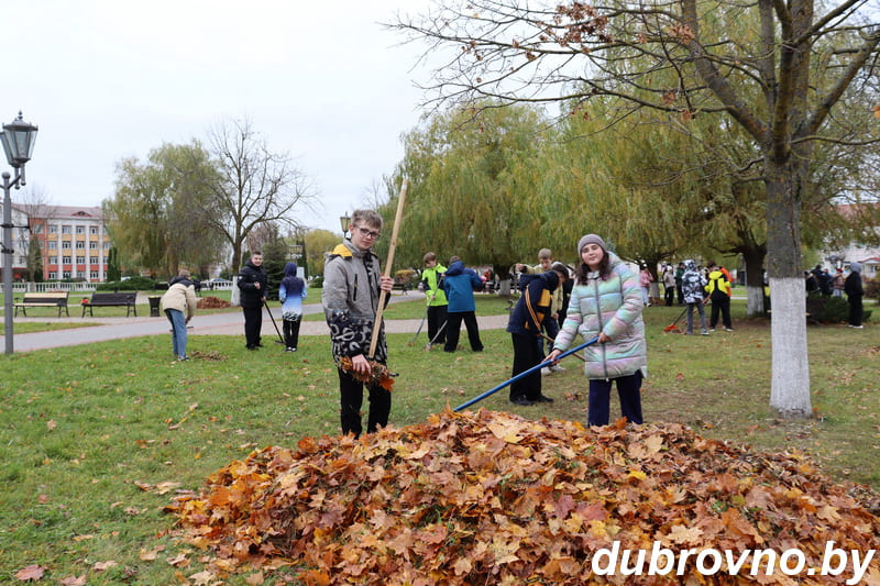 Дубровенцы присоединились к субботнику