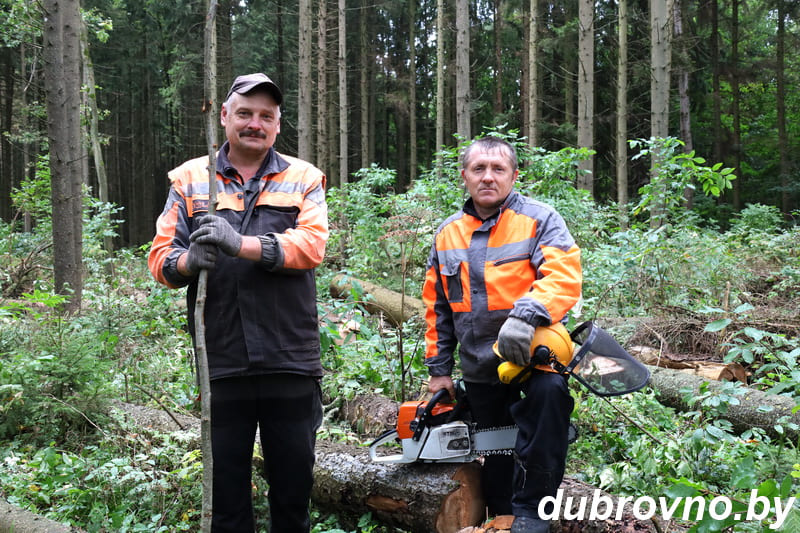 21 сентября свой профессиональный праздник отметили работники леса