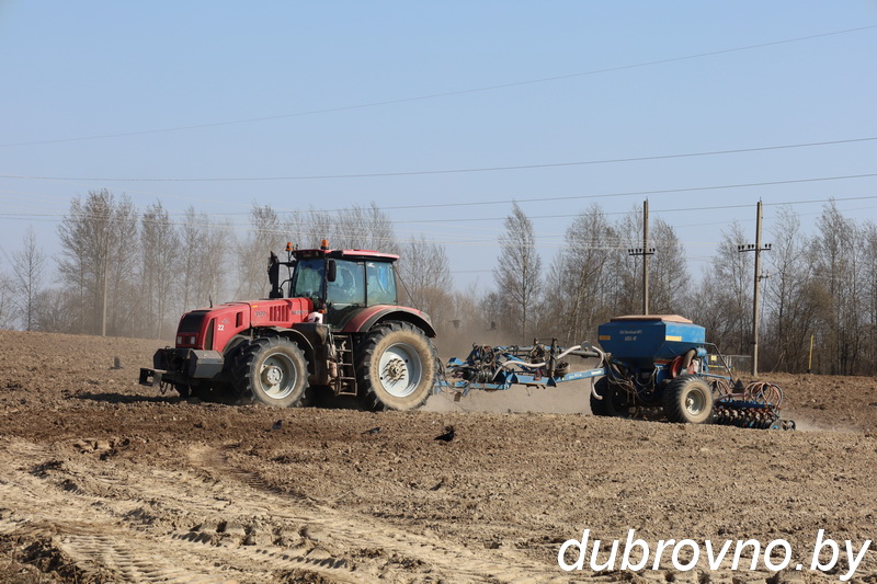 На полях Дубровенщины сеют овес