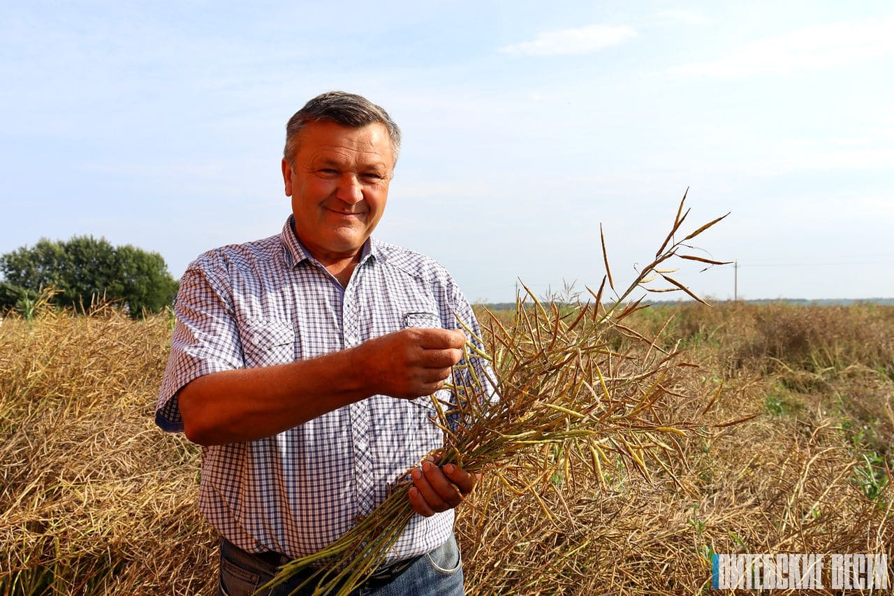 Водитель-тысячник из Дубровенского района Александр Батян: «Стараемся не ради рекордов, а чтобы получить максимум урожая»