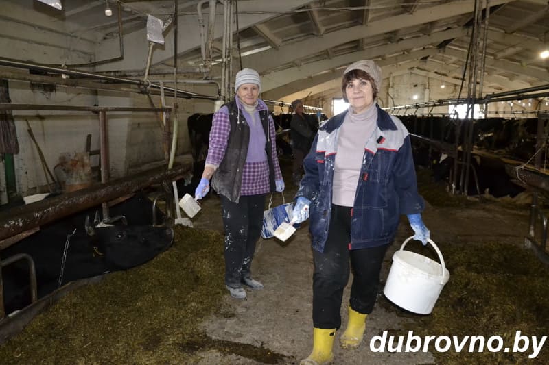 Отряды добровольцев помогают наводить порядок на территории сельхозпредприятий Дубровенщины