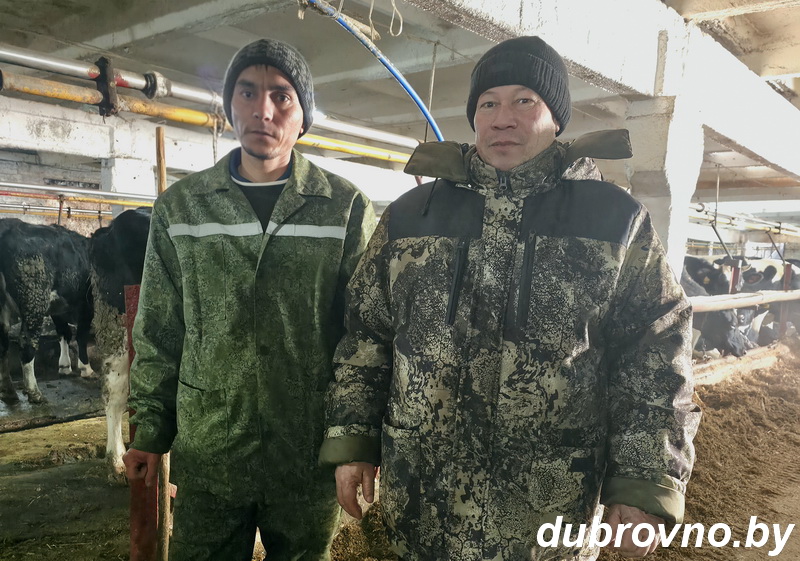 Трудовые мигранты прибыли на Дубровенщину