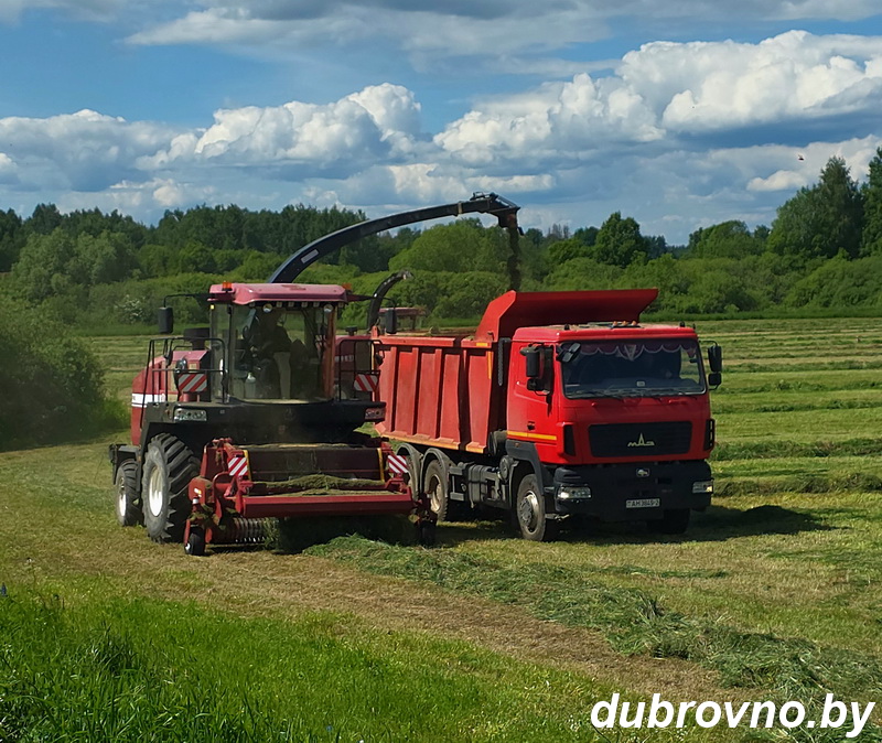 Кормозаготовка на Дубровенщине приближается к экватору