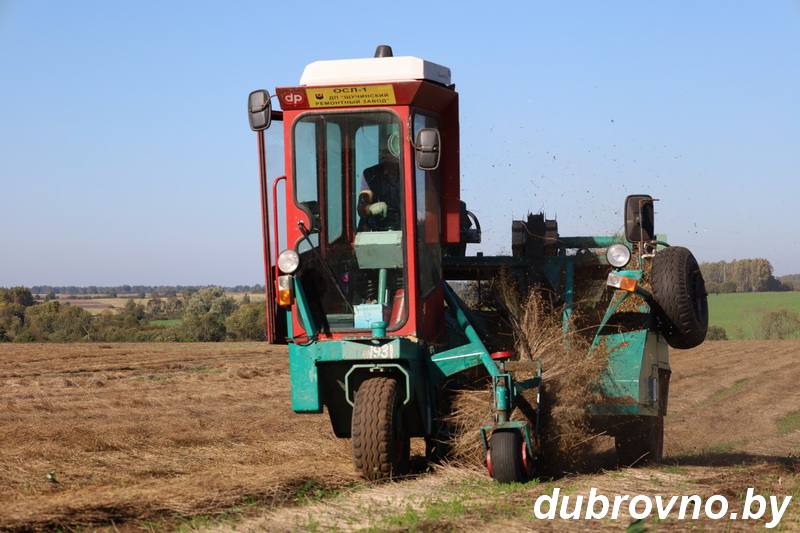 Уборочная продолжается на льняных полях Дубровенщины