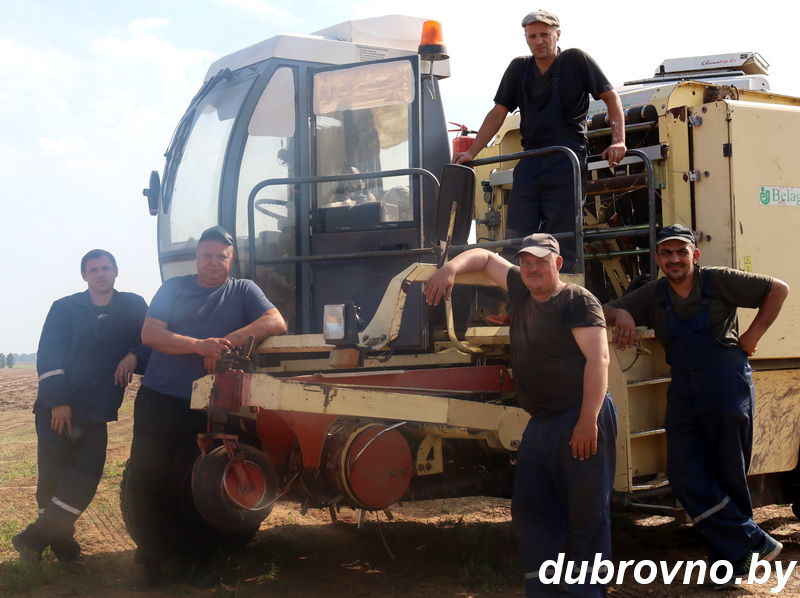 Дубровенские льноводы вышли на поля